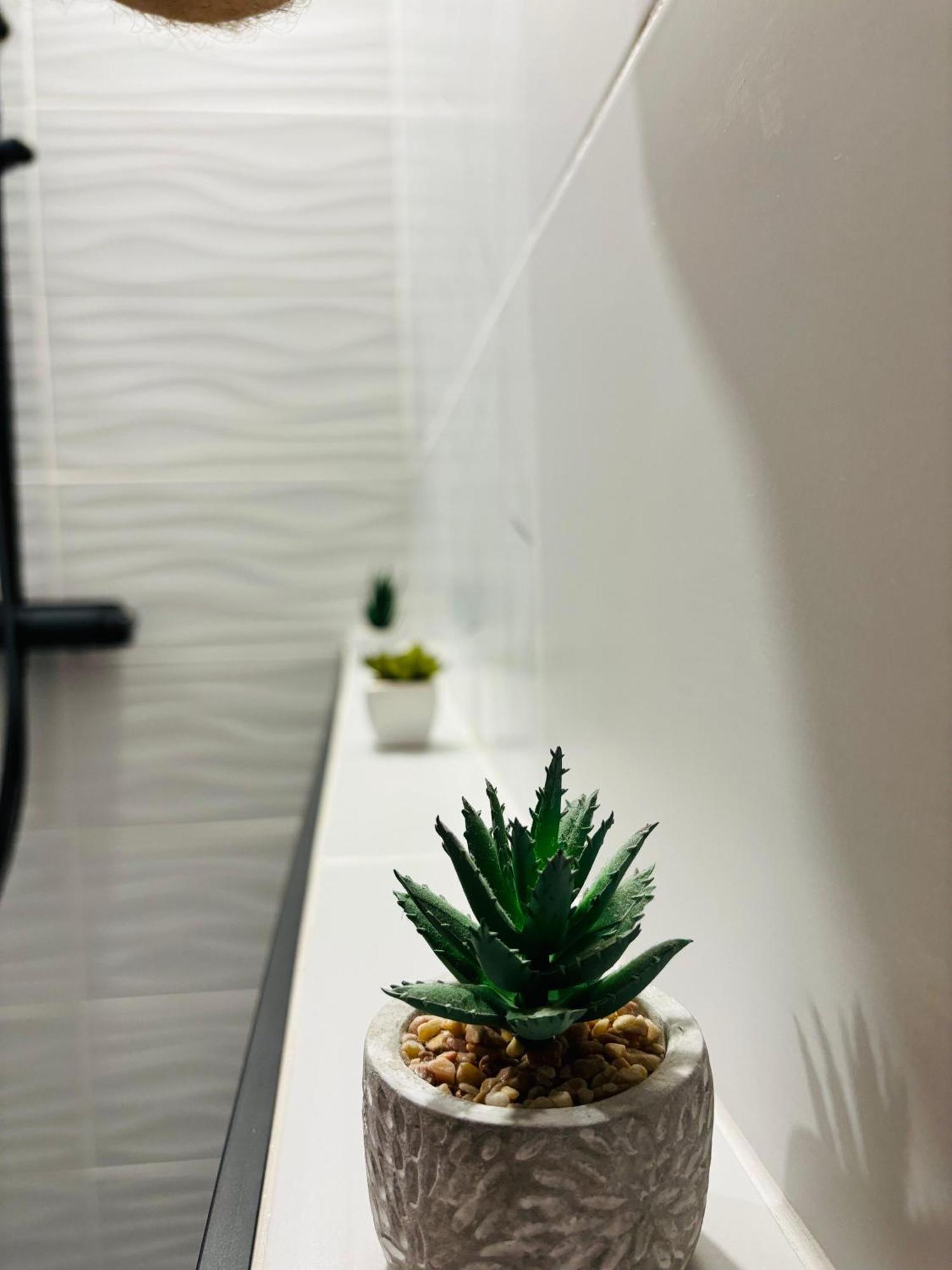 Amos Apartment-Ultracentral-Free Parking Κλουζ-Ναπόκα Εξωτερικό φωτογραφία
